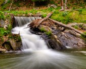 Enlarge photo 67