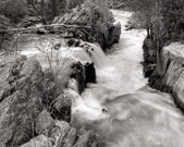 Enlarge photo 70