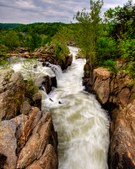 Enlarge photo 71