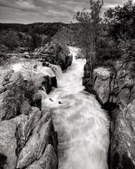 Enlarge photo 72