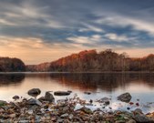 Enlarge photo 75