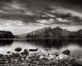 Enlarge photo 76