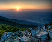 Enlarge photo 77