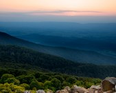 Enlarge photo 93