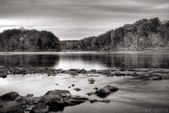 Enlarge photo 80