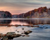Enlarge photo 81