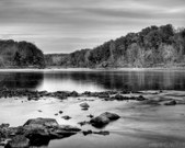 Enlarge photo 82
