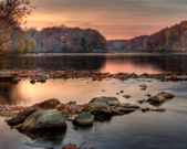 Enlarge photo 83
