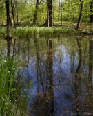 Enlarge photo 64