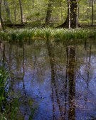 Enlarge photo 51