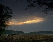 Enlarge photo 52