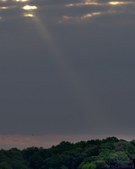 Enlarge photo 53