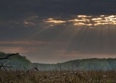 Enlarge photo 54