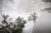 Enlarge photo 148