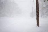 Enlarge photo 149