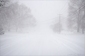 Enlarge photo 150