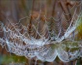 Enlarge photo 146