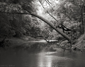 Enlarge photo 143