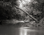 Enlarge photo 144
