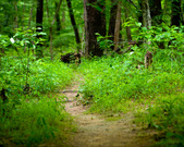 Enlarge photo 145