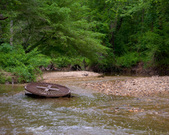 Enlarge photo 127