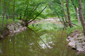 Enlarge photo 129