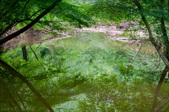 Enlarge photo 130