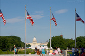 Enlarge photo 134