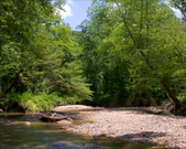 Enlarge photo 131