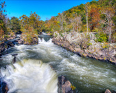 Enlarge photo 94