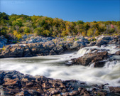 Enlarge photo 98