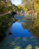 Enlarge photo 102
