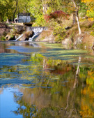 Enlarge photo 103