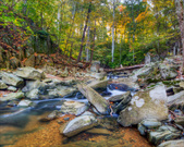 Enlarge photo 105