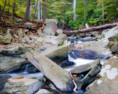 Enlarge photo 106