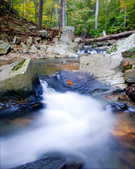 Enlarge photo 108