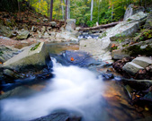 Enlarge photo 107