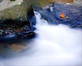 Enlarge photo 109
