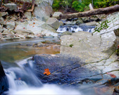 Enlarge photo 110