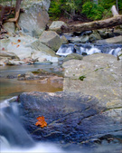 Enlarge photo 111