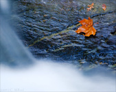 Enlarge photo 112