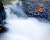 Enlarge photo 113