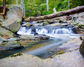 Enlarge photo 114