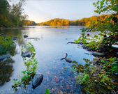 Enlarge photo 116