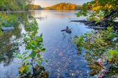 Enlarge photo 117
