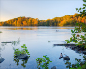 Enlarge photo 118