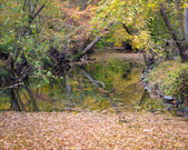 Enlarge photo 119