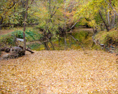 Enlarge photo 120