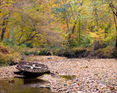 Enlarge photo 122