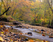 Enlarge photo 124